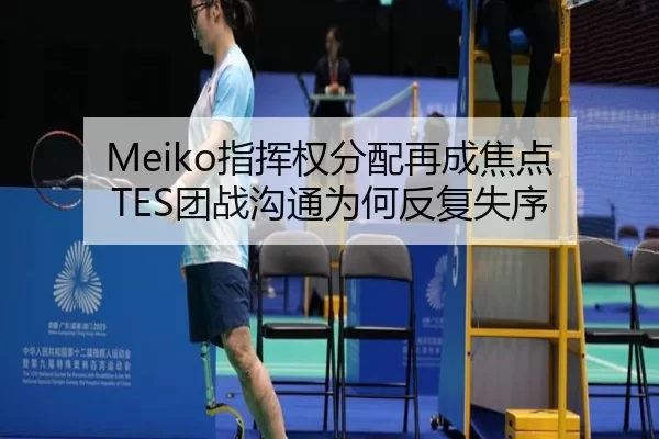 Meiko指挥权分配再成焦点 TES团战沟通为何反复失序
